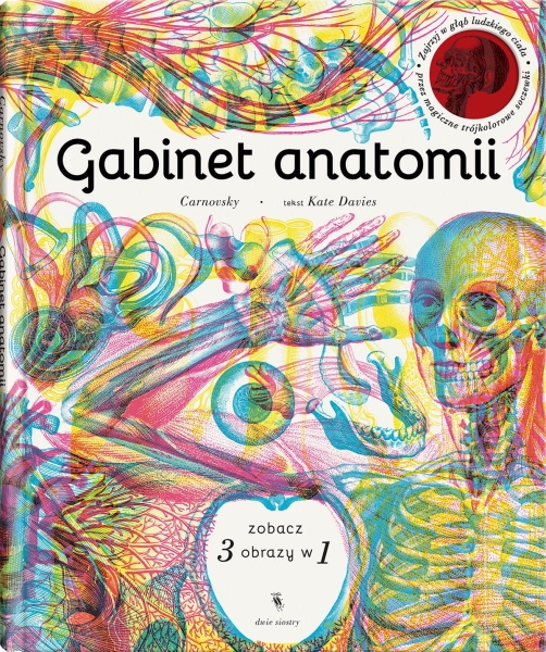 GABINET ANATOMII KATE DAVIES STR 64 ANATOMIA 