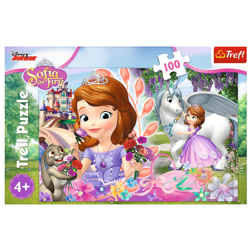 c43-puzzle-100-elementow-jej.jpg
