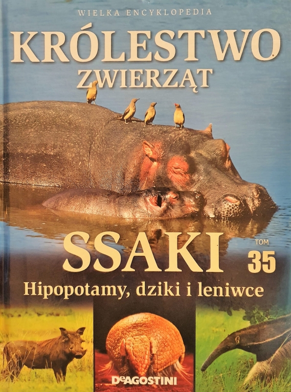 20210410_184202.jpg