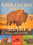 KRÓLESTWO ZWIERZĄT SSAKI BIZONY ŻUBRY BAWOŁY 