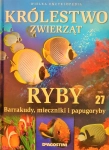 KRÓLESTWO ZWIERZĄT RYBY BARRAKUDY MIECZNIKI 