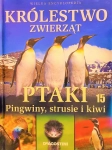 KRÓLESTWO ZWIERZĄT PTAKI PINGWINY STRUSIE KIWI 