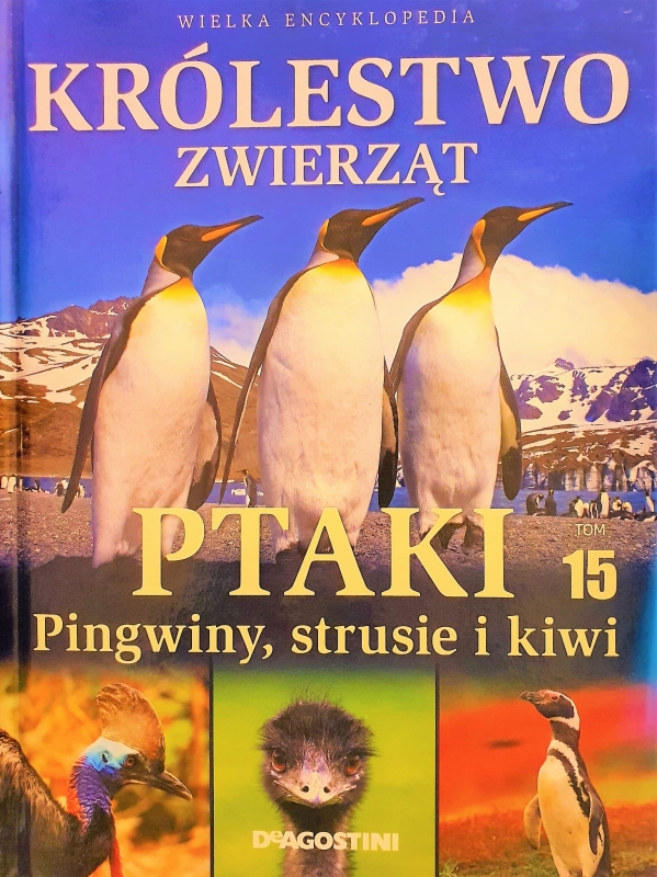 20210410_193557.jpg