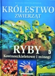 KRÓLESTWO ZWIERZĄT RYBY KOSTNOSZKIELETOWE MINOGI 