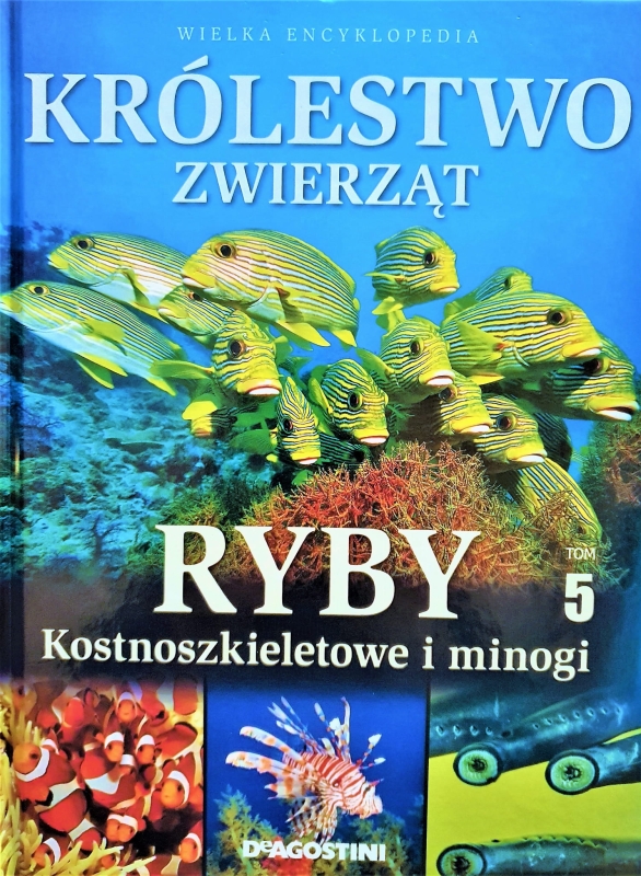 20210410_195426.jpg