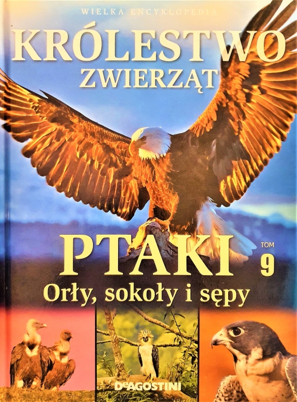 20210410_201719.jpg