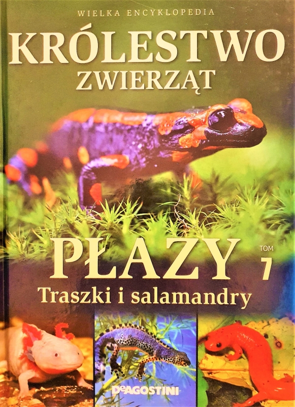 20210410_202506.jpg