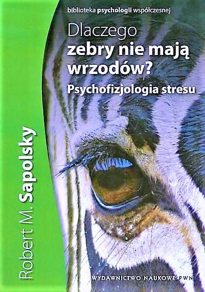 DLACZEGO ZEBRY NIE MAJĄ WRZODÓW STRES SAPOLSKY NOWA