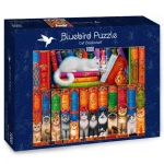 PUZZLE 1000 KOCIA BIBLIOTEKA NOWE FOLIA 