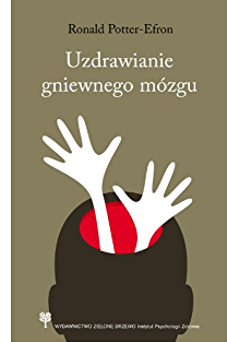 UZDRAWIANIE GNIEWNEGO MÓZGU POTTER EFRON NOWA