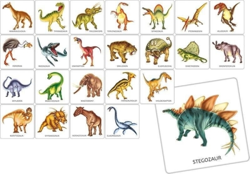 4501ab000b2-memory-dinozaury.jpg
