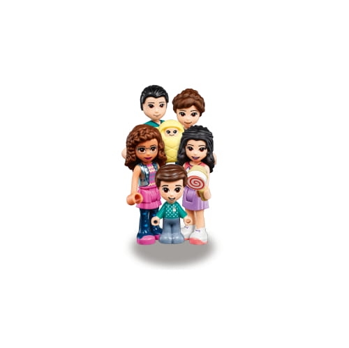 a6956-lego-friends-41450-cen.jpg