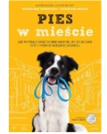 PIES W MIEŚCIE KATARZYNA MIGDAŁ NOWA 