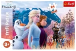 PUZZLE 24 MAXI MAGICZNA WYPRAWA TREFL FOLIA
