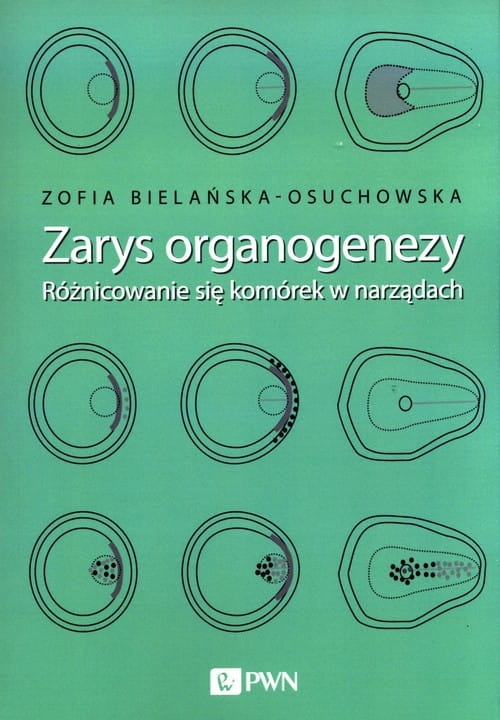 418c1406b-zarys-organogenezy.jpg