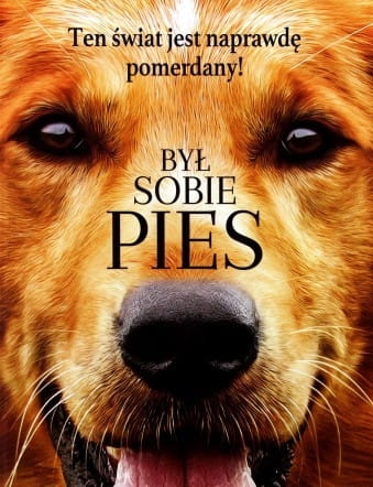 BYŁ SOBIE PIES DVD HALLSTORM QUAID KELAMIS PL