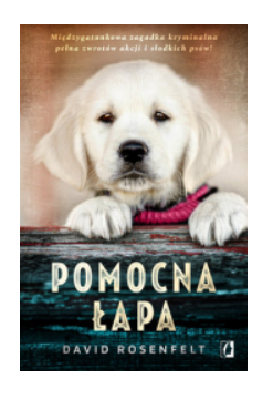 POMOCNA ŁAPA DAVID ROSENFELT NOWA 