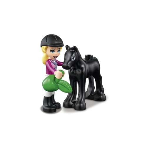 d4e2e-lego-friends-41441-szk.jpg