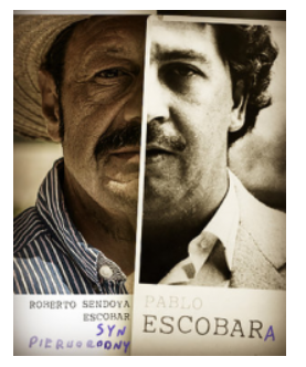 SYN ESCOBARA PIERWORODNY ROBERTO ESCOBAR NOWA 