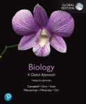 BIOLOGY A GLOBAL APPROACH GLOBAL EDITION NOWA URRY