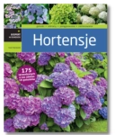 HORTENSJE EWA CHOJNOWSKA NOWA 