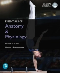 ESSENTIALS OF ANATOMY & PHYSIOLOGY MARTINI NOWA