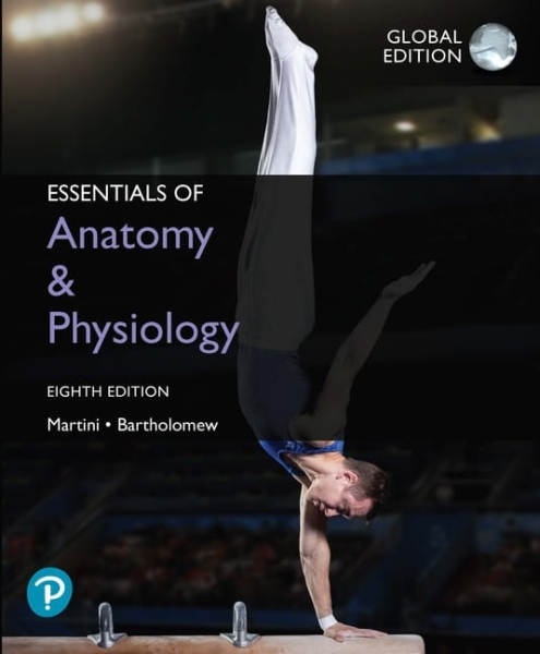 ESSENTIALS OF ANATOMY & PHYSIOLOGY MARTINI NOWA