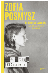 KRÓLESTWO ZA MGŁĄ MICHAŁ WÓJCIK NOWA 