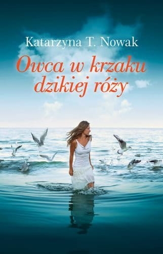 OWCA W KRZAKU DZIKIEJ RÓŻY K T NOWAK NOWA 