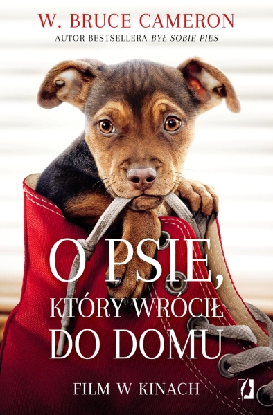  O PSIE KTÓRY WRÓCIŁ DO DOMU W B CAMERON NOWA
