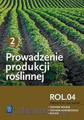 244163_large.jpg