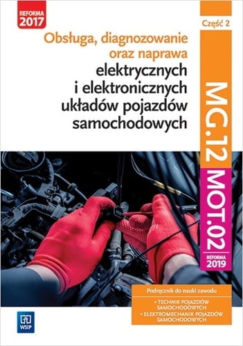 66-obsluga-diagnozowanie-ora.jpg