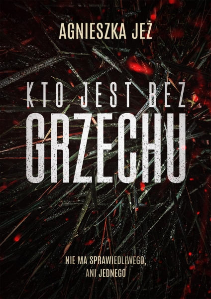 KTO JEST BEZ GRZECHU AGNIESZKA JEŻ NOWA