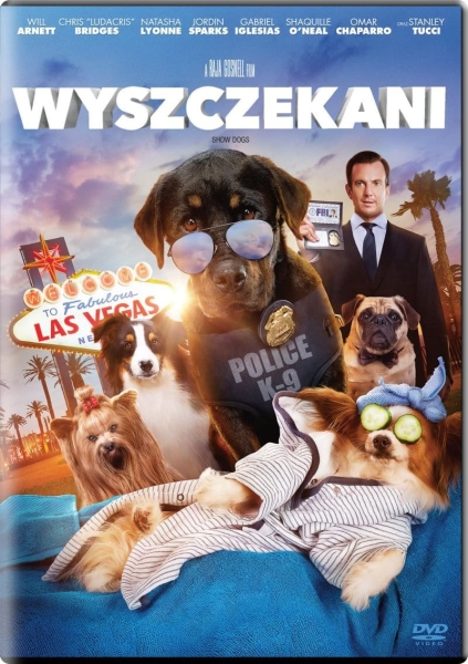 WYSZCZEKANI COLLACO TUCCI DVD NOWA