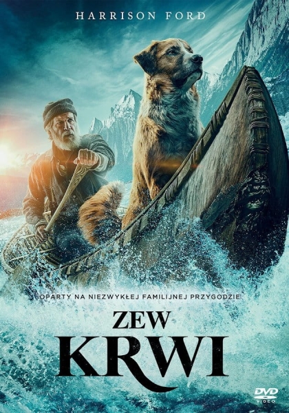 ZEW KRWI DVD FORD CEDAR SIEVERS WHITFORD NOWA