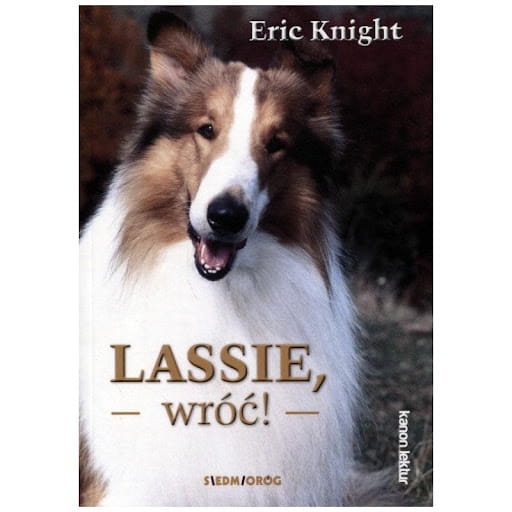 25c33ea97b0aee54-lassie-wroc.jpg