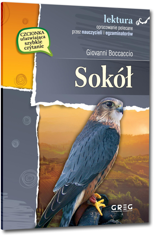 06178fefd058619193f1d6-sokol.jpg