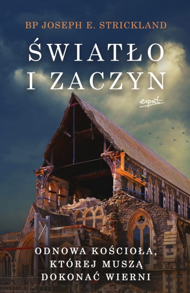 ŚWIATŁO I ZACZYN BP JOSEPH STRICKLAND NOWA