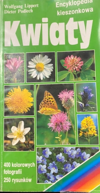 image1 (60).jpeg