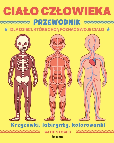 CIAŁO CZŁOWIEKA PRZEWODNIK DLA DZIECI STOKES NOWA