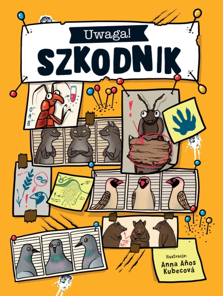 UWAGA SZKODNIK TOMAS FILIPI NOWA