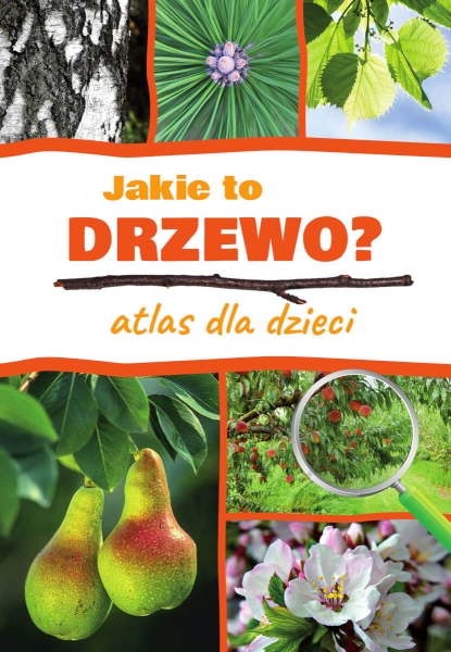 JAKIE TO DRZEWO ATLAS DLA DZIECI ALEKSANDRA HALAREWICZ