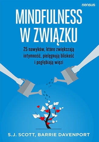 MINDFULNESS W ZWIĄZKU BARRIE DAVENPORT NOWA
