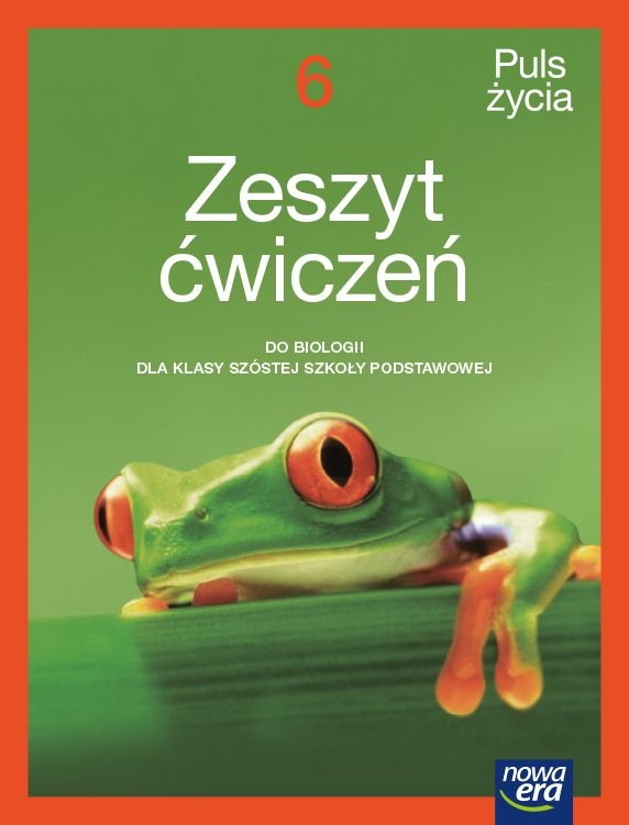 91.jpg