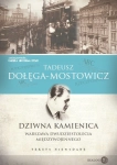 DZIWNA KAMIENICA WARSZAWA DOŁEGA-MOSTOWICZ