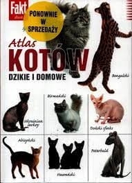 ATLAS KOTÓW DZIKIE I DOMOWE SYBERYJSKI BIRMAŃSKI ABISYŃSKI SFINKS DACHOWIEC