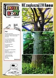 4/2017 PRZEKRÓJ