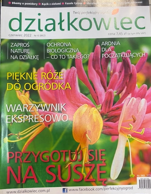 6/2022 DZIAŁKOWIEC KWIATY RÓŻE OGRÓD ZIOŁA SUSZA