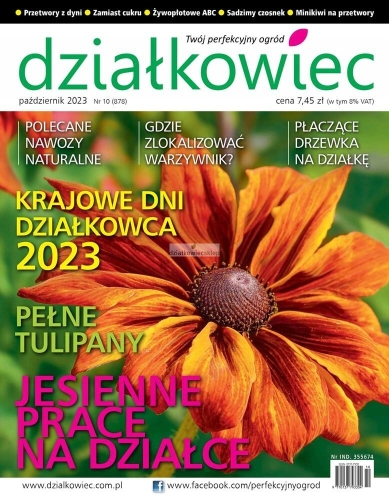 10/2023 DZIAŁKOWIEC DYNIA PRZETWORY TULIPANY WARZYWNIK ŻYWOPŁOT