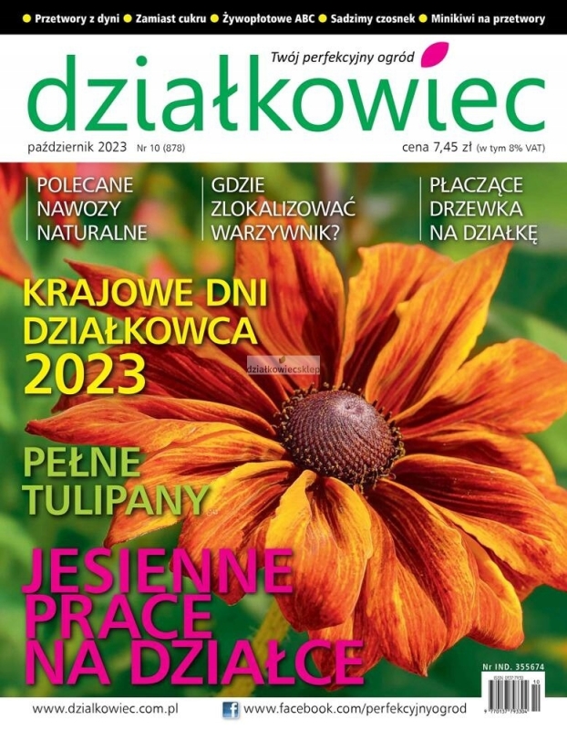 10/2023 DZIAŁKOWIEC DYNIA PRZETWORY TULIPANY WARZYWNIK ŻYWOPŁOT